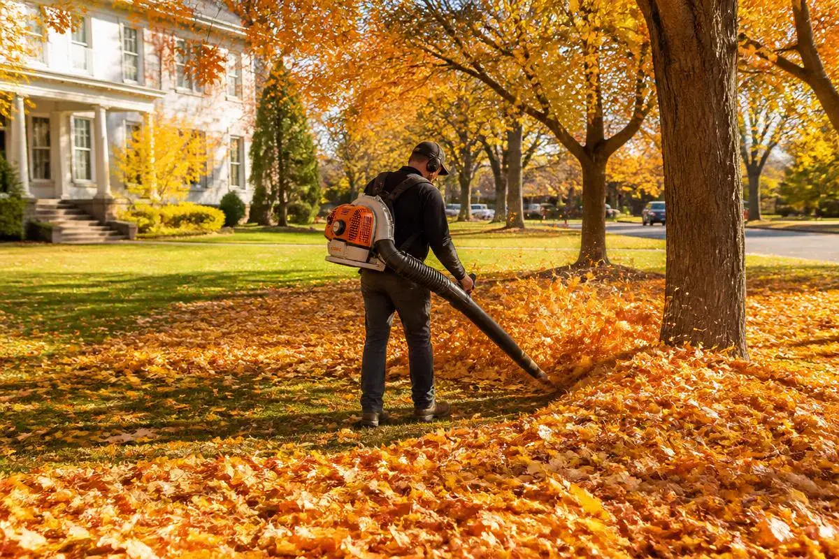 Ramassage des feuilles